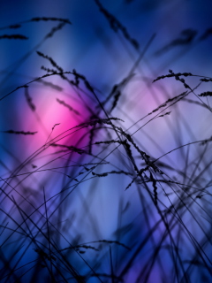 Pink Sunset Time screenshot #1 240x320