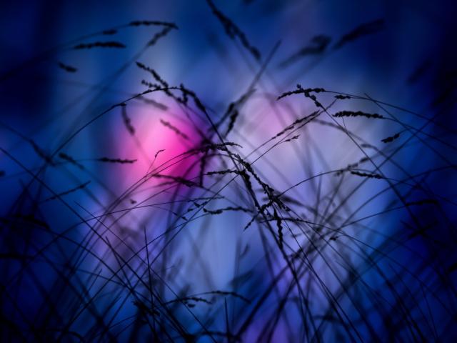 Screenshot №1 pro téma Pink Sunset Time 640x480