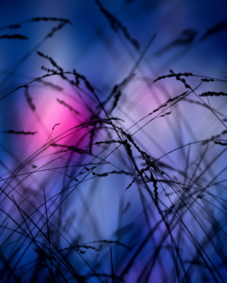 Pink Sunset Time - Obrázkek zdarma pro Nokia Asha 306