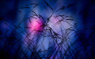 Pink Sunset Time - Obrázkek zdarma pro 176x144