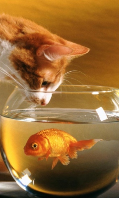 Screenshot №1 pro téma Cat And Fish 240x400