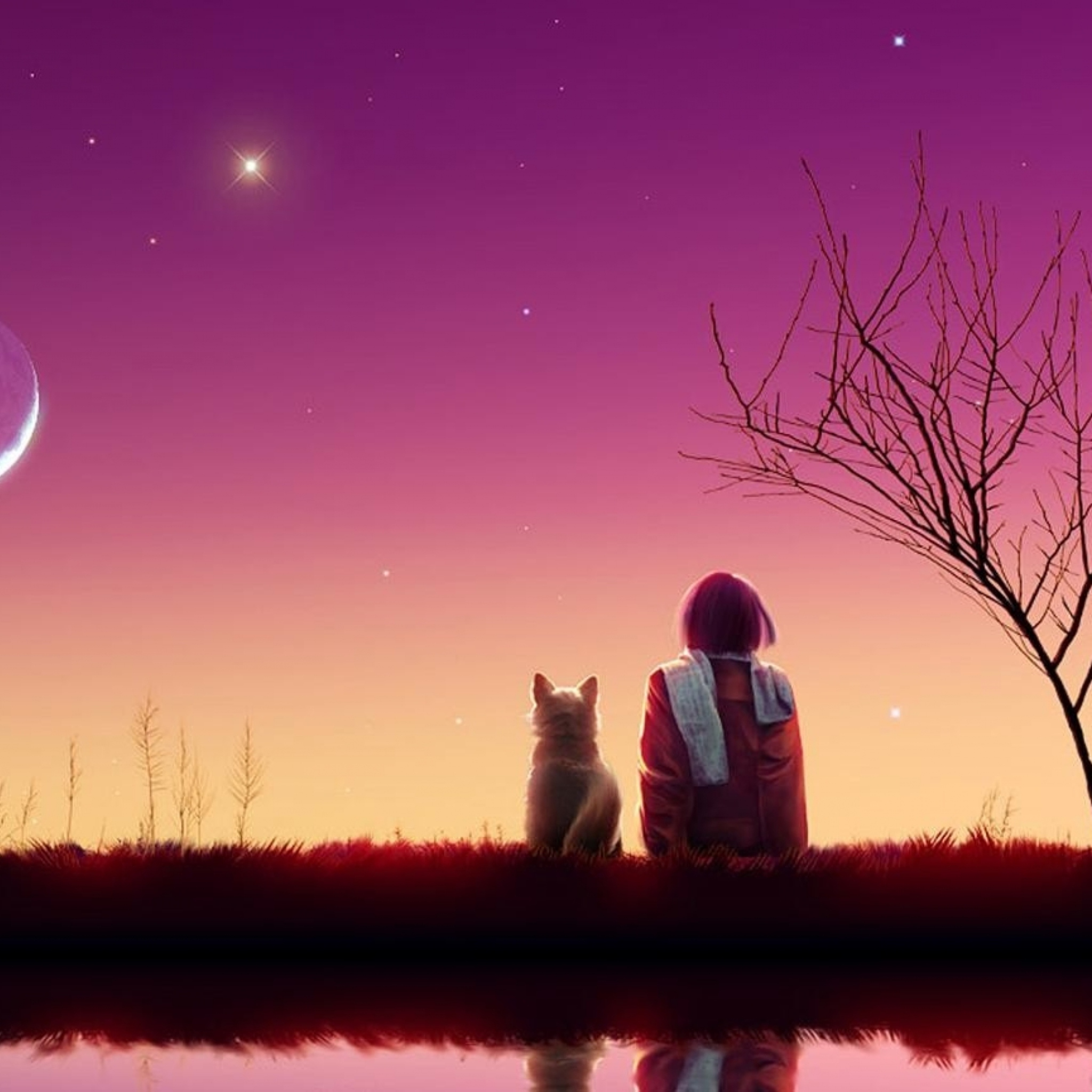 Das Girl And Cat Looking At Pink Sky Wallpaper 2048x2048