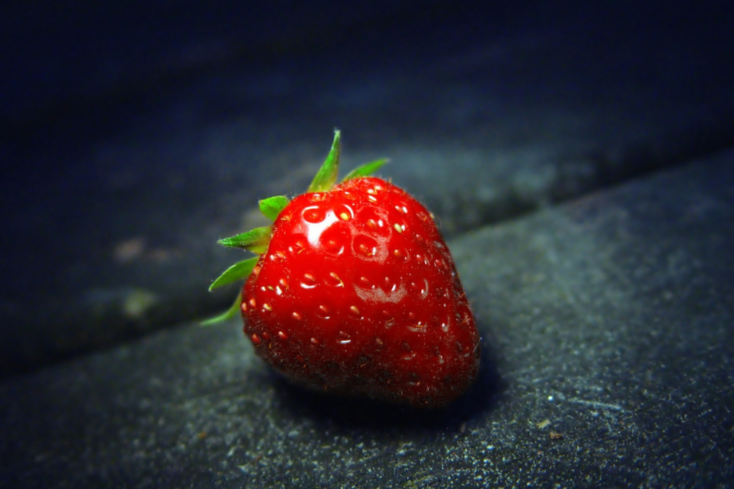 Sfondi Red Strawberry 2880x1920