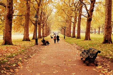 Walk In Autumn Park screenshot #1 480x320