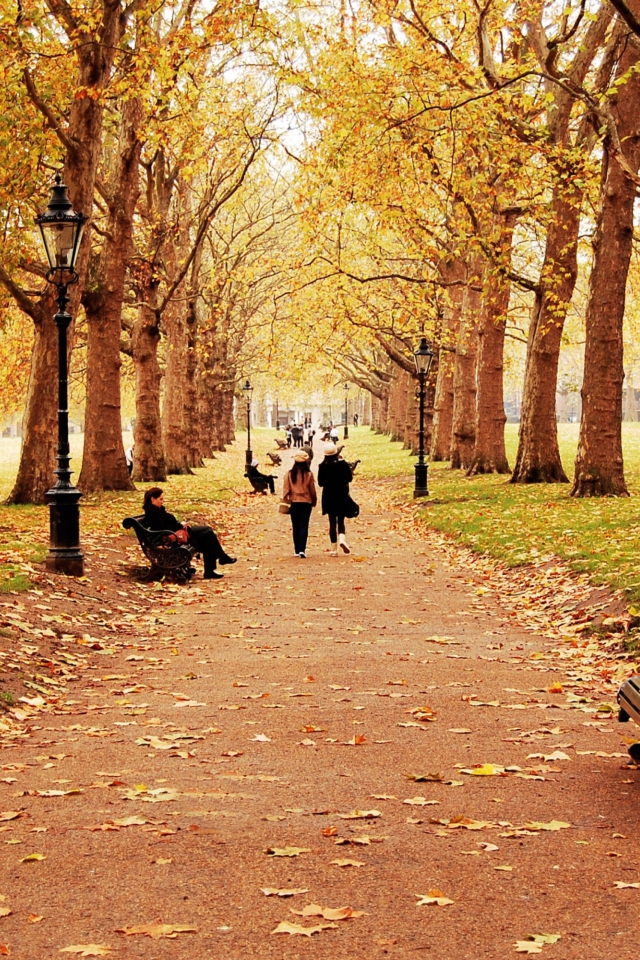 Sfondi Walk In Autumn Park 640x960
