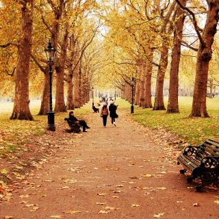 Walk In Autumn Park - Obrázkek zdarma pro iPad mini