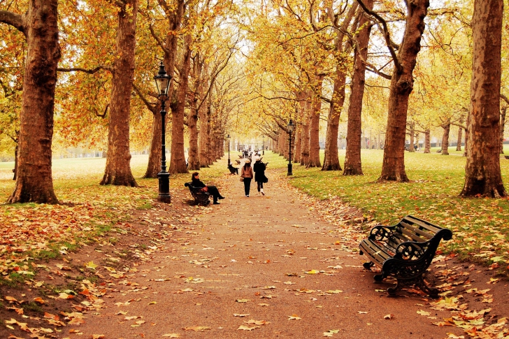 Das Walk In Autumn Park Wallpaper