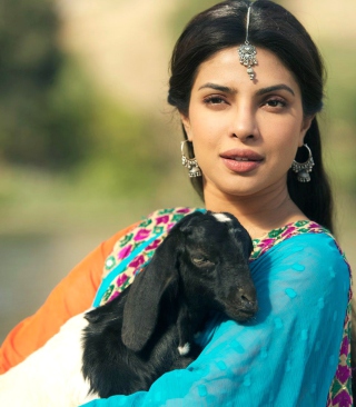 Priyanka Chopra In Teri Meri Kahaani - Obrázkek zdarma pro Nokia Asha 503