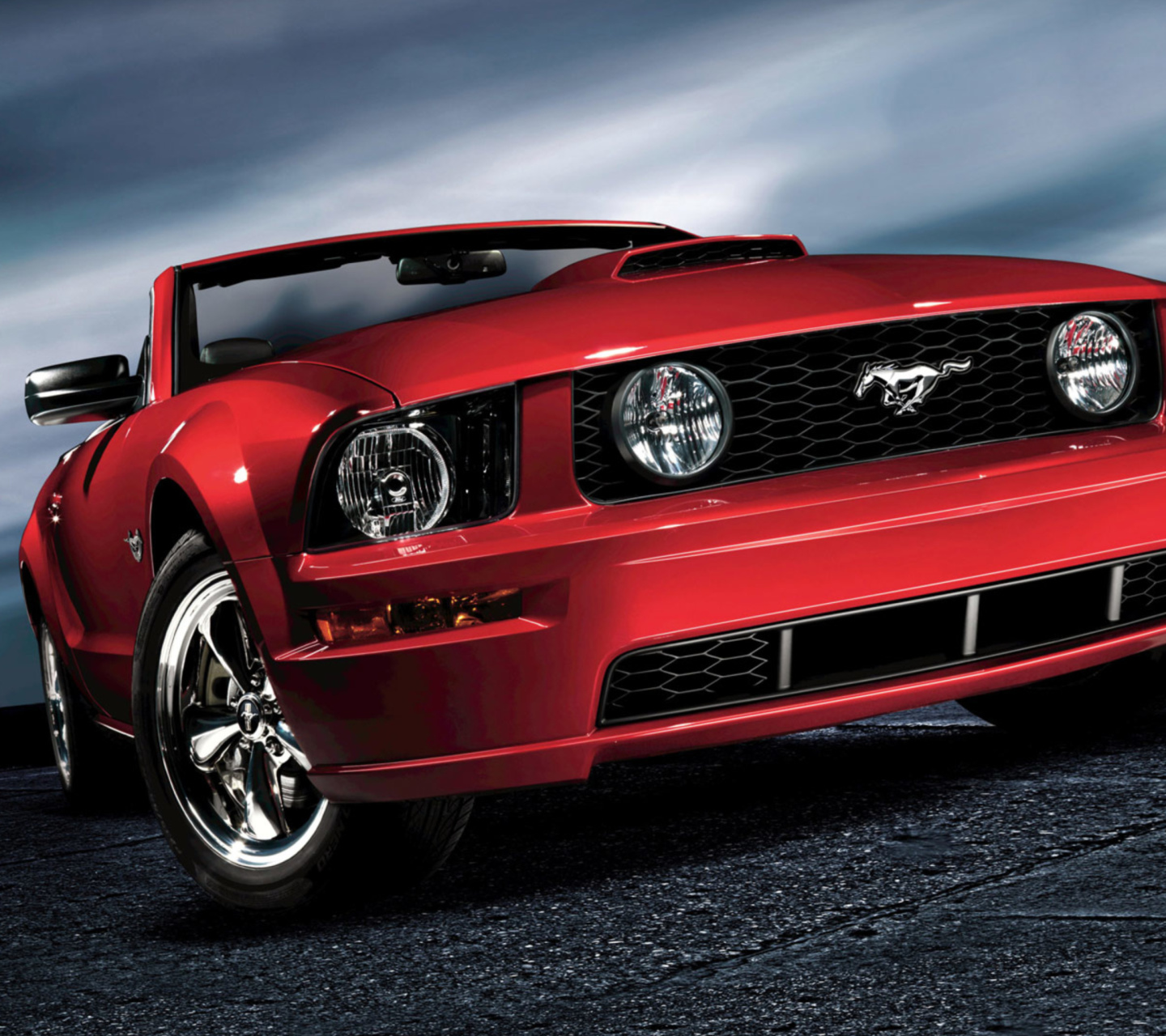Das Ford Mustang Shelby GT500 Wallpaper 1440x1280