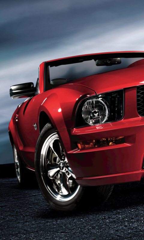 Screenshot №1 pro téma Ford Mustang Shelby GT500 480x800