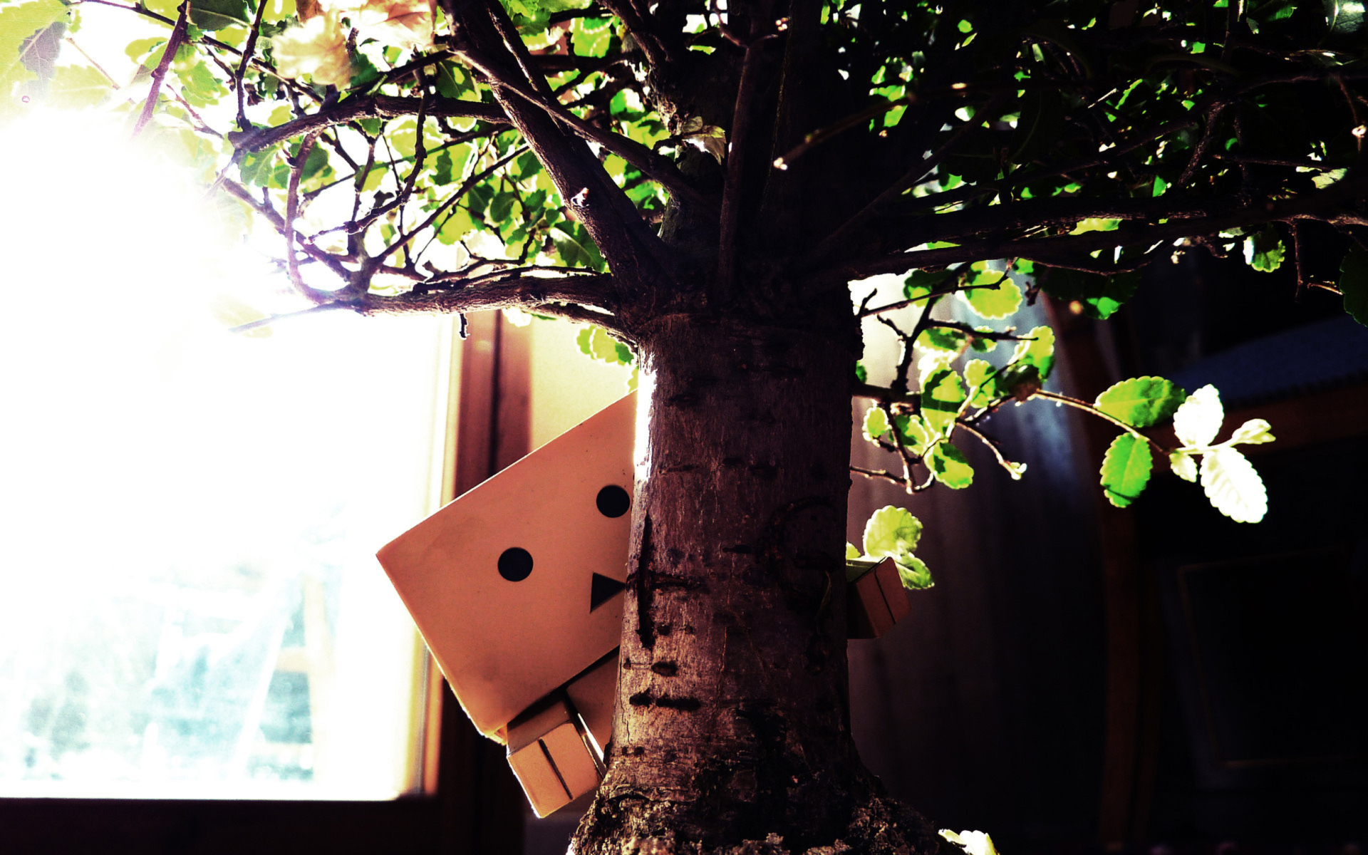 Screenshot №1 pro téma Little Danbo Hiding Behind Plant 1920x1200