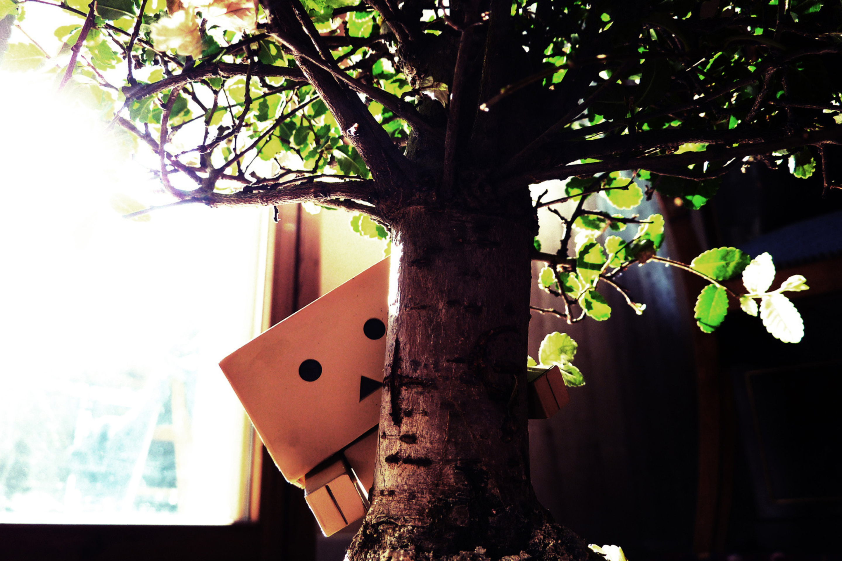 Little Danbo Hiding Behind Plant screenshot #1 2880x1920