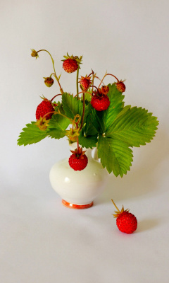 Sfondi Wild Strawberrie 240x400