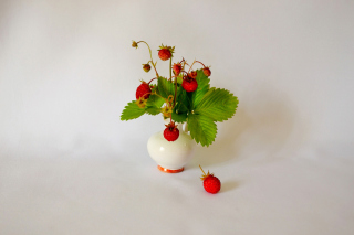 Wild Strawberrie Picture for Android, iPhone and iPad