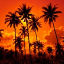 Sunset Thailand screenshot #1 128x128