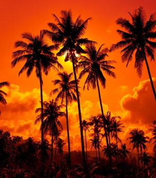 Sunset Thailand sfondi gratuiti per 640x1136