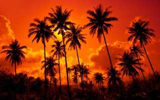 Sunset Thailand - Obrázkek zdarma pro 720x320