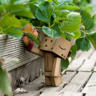 Free Amazons Mascot Danbo Picture for 1024x1024