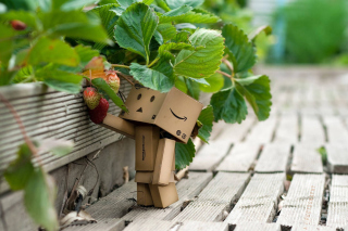 Amazons Mascot Danbo Background for Android, iPhone and iPad