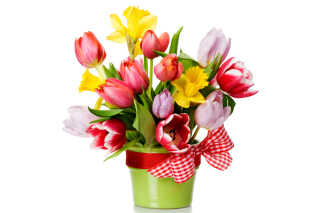 Fresh Spring Bouquet Background for Android, iPhone and iPad