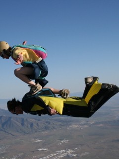 Skydiving screenshot #1 240x320