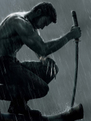 Screenshot №1 pro téma The Wolverine Movie 2013 132x176