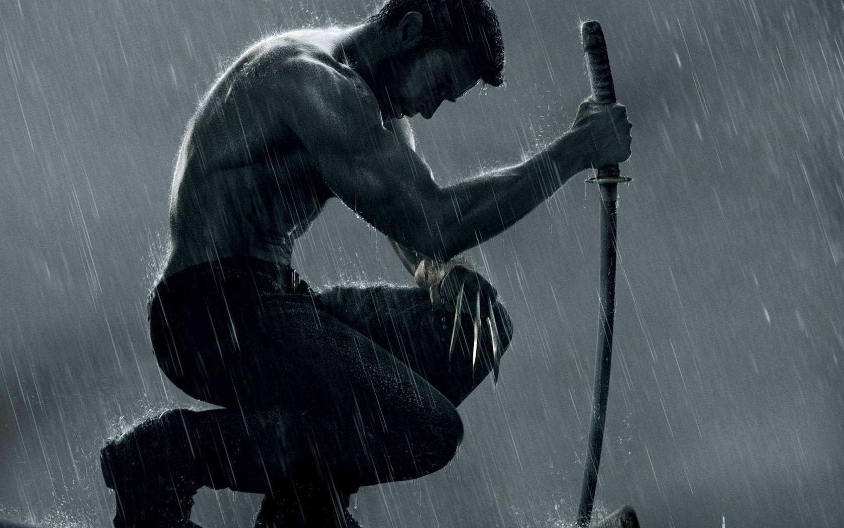 Fondo de pantalla The Wolverine Movie 2013 1680x1050