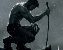 Fondo de pantalla The Wolverine Movie 2013 220x176