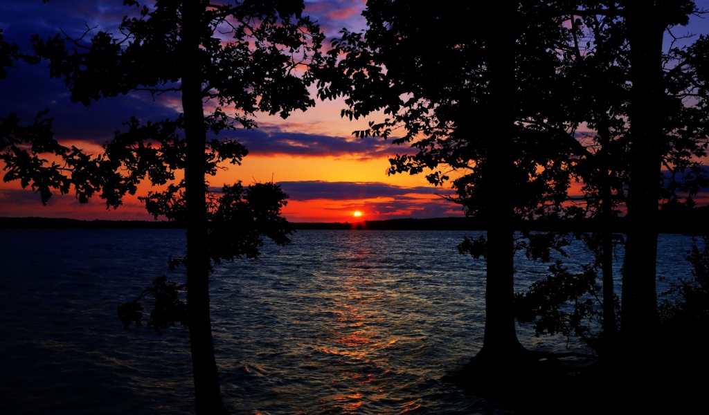 Sunset Between Trees screenshot #1 1024x600