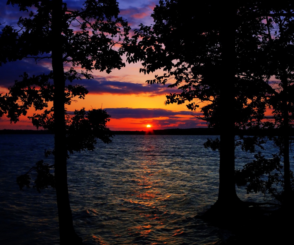 Sunset Between Trees wallpaper 960x800