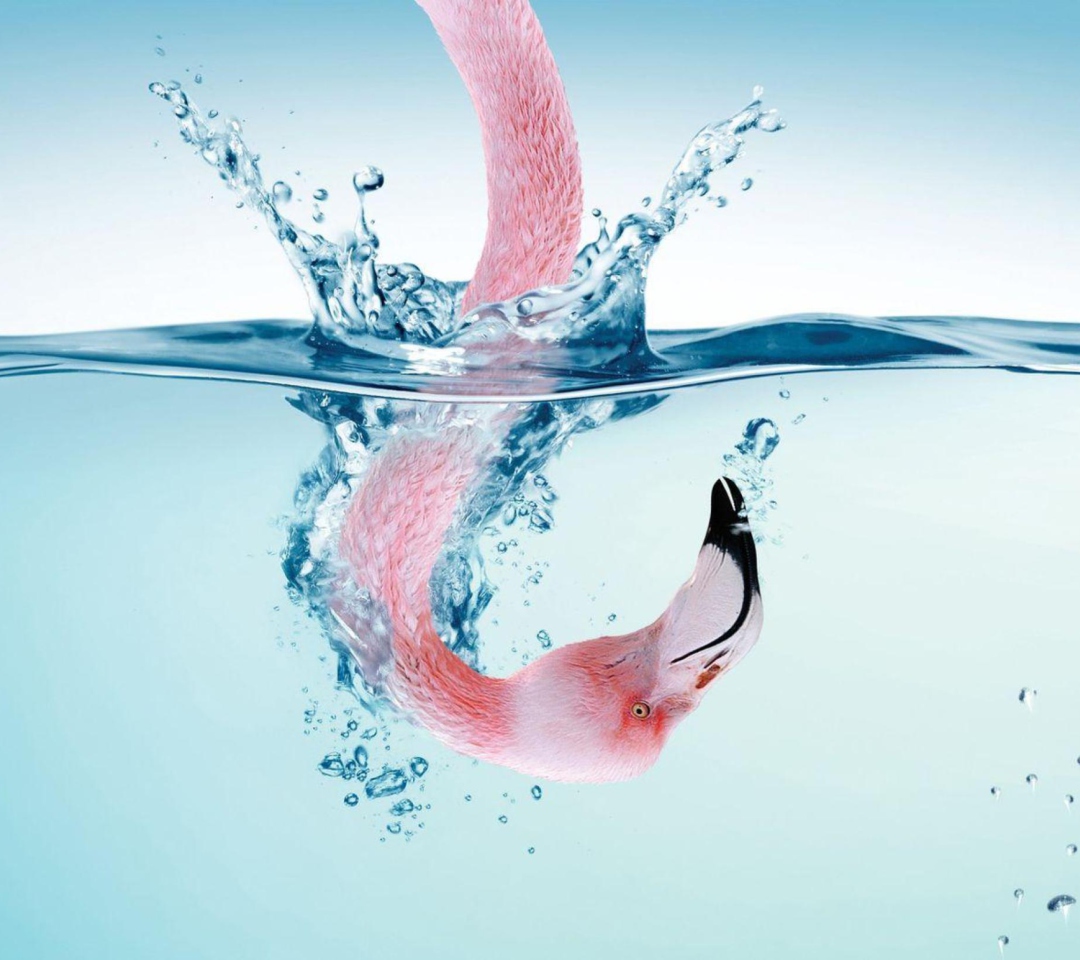 Das Flamingo Underwater Wallpaper 1080x960