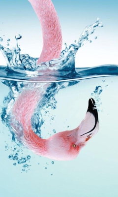 Das Flamingo Underwater Wallpaper 240x400