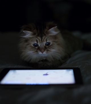 Kittie With Ipad - Obrázkek zdarma pro Nokia 5233