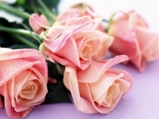 Screenshot №1 pro téma Pink Roses 320x240