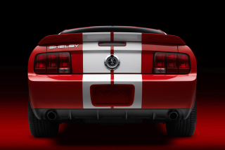 Ford Mustang Shelby GT500 - Obrázkek zdarma pro Nokia Asha 205