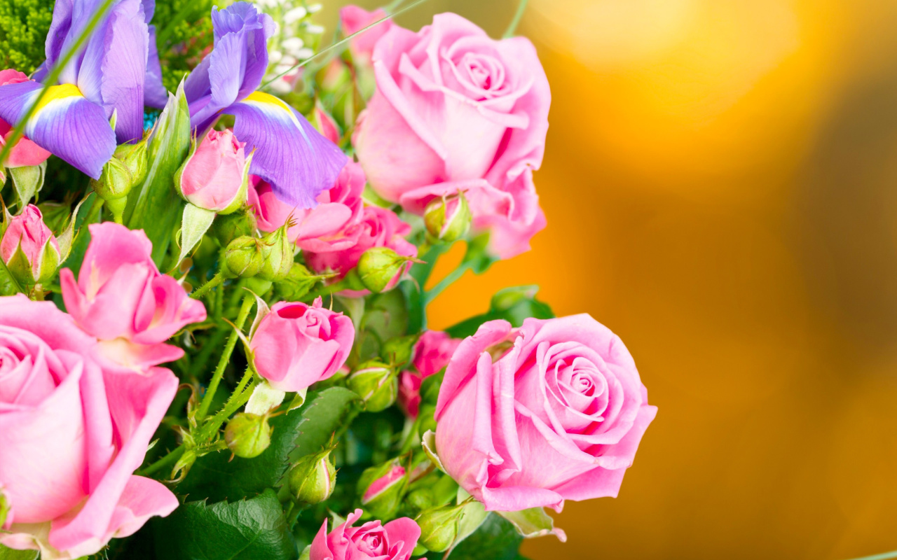 Spring bouquet of roses wallpaper 1280x800