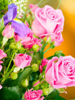 Spring bouquet of roses wallpaper 240x320