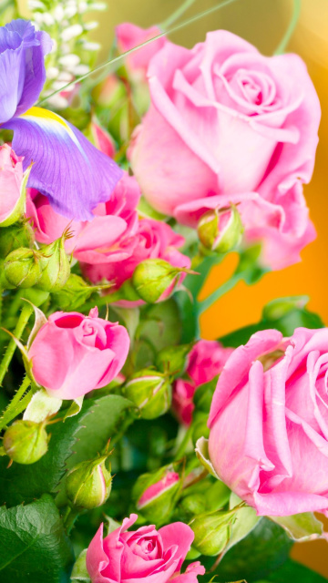 Spring bouquet of roses wallpaper 360x640