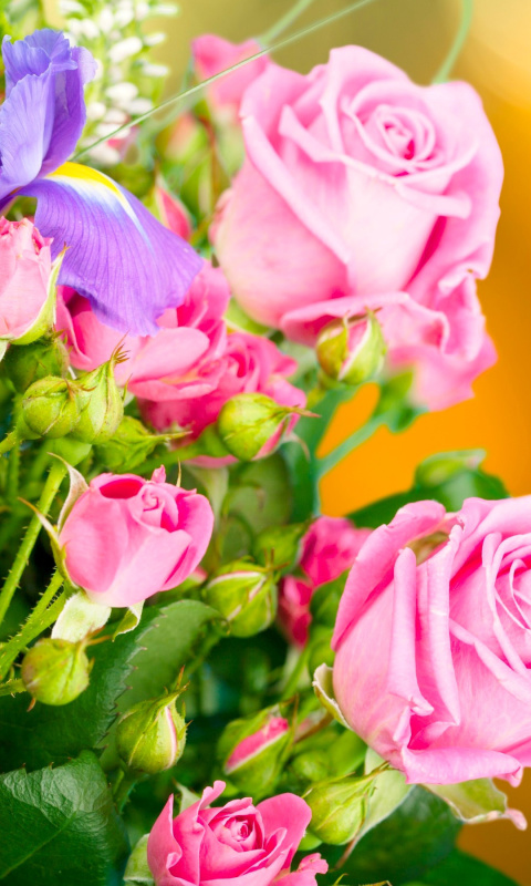 Spring bouquet of roses wallpaper 480x800