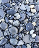 Pebble beach wallpaper 128x160