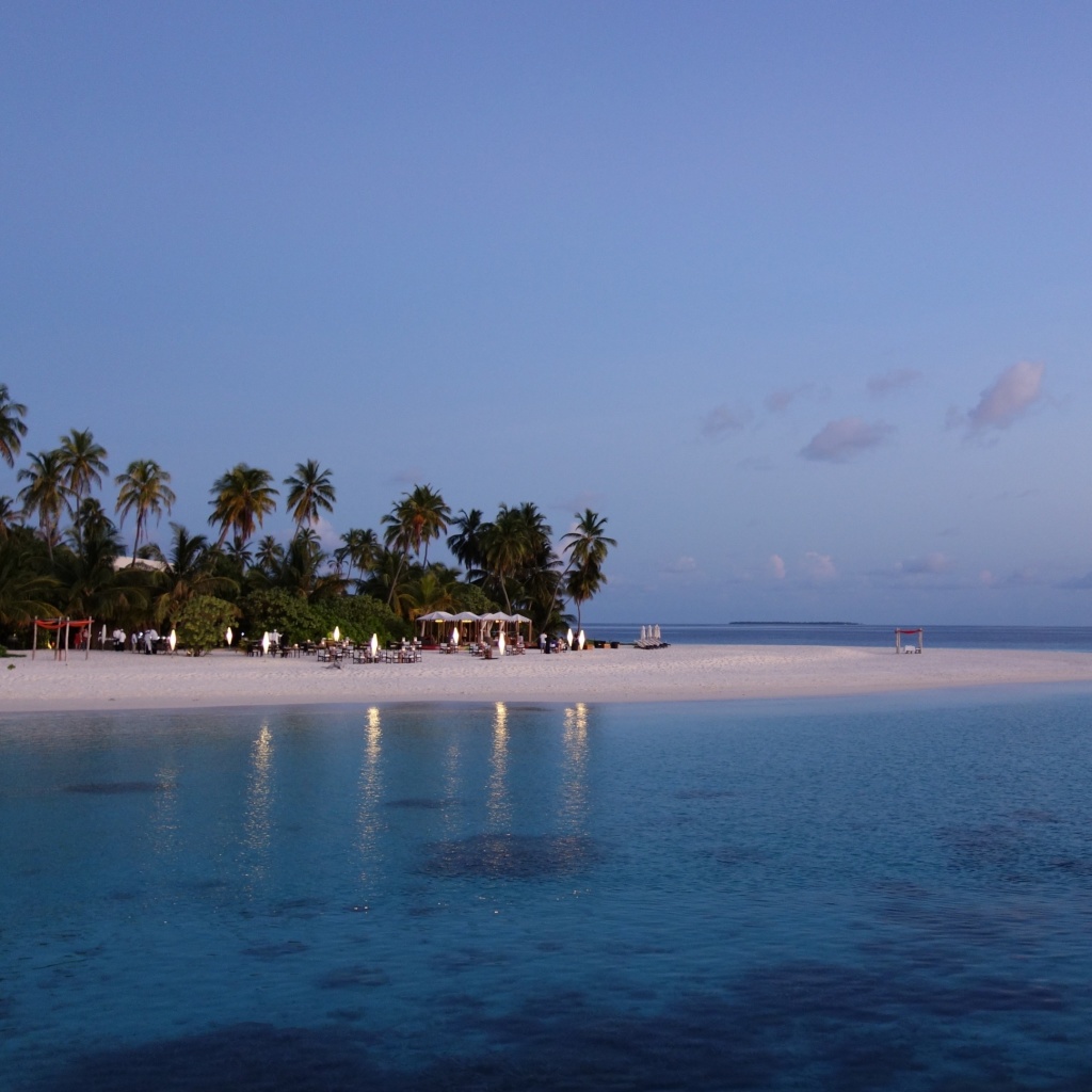 Обои Tropic Tree Hotel Maldives 1024x1024