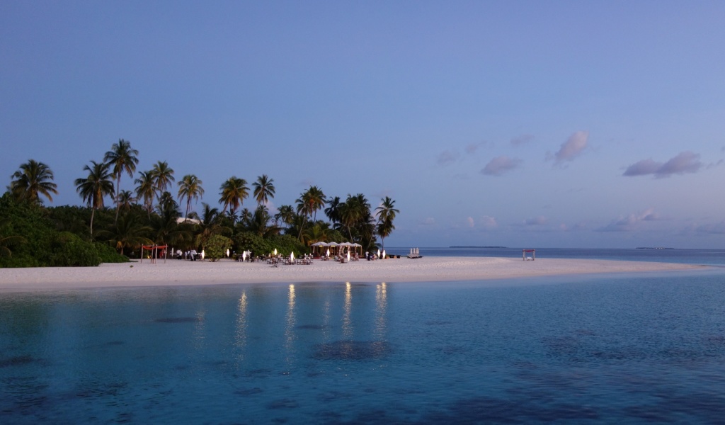 Fondo de pantalla Tropic Tree Hotel Maldives 1024x600