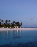 Fondo de pantalla Tropic Tree Hotel Maldives 128x160
