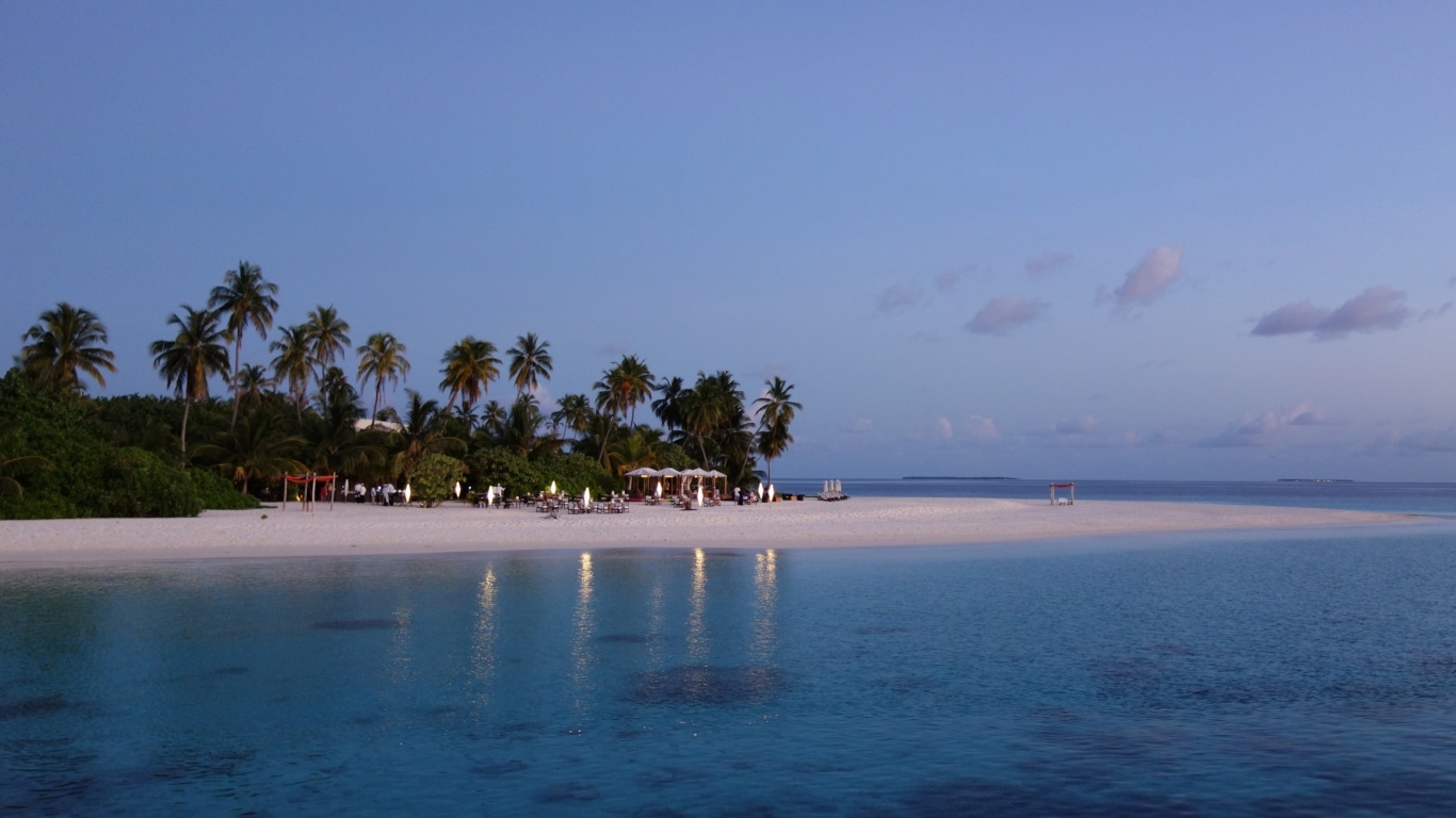 Sfondi Tropic Tree Hotel Maldives 1366x768
