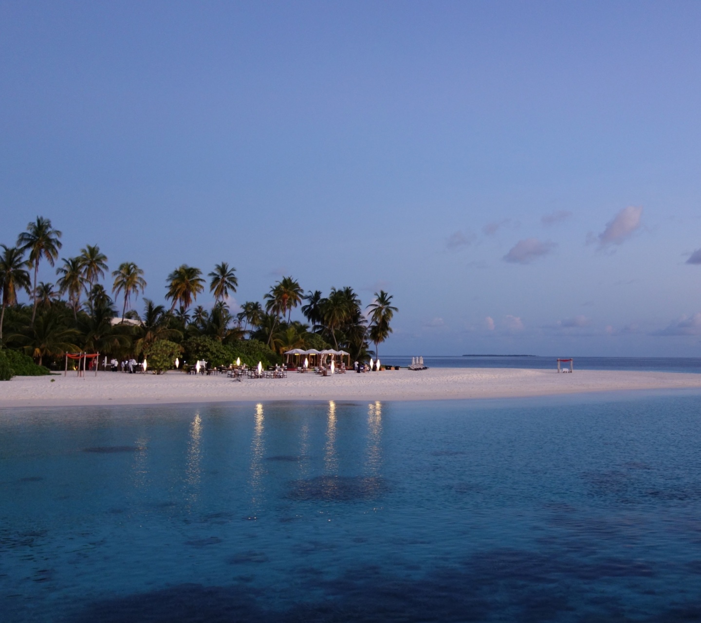 Обои Tropic Tree Hotel Maldives 1440x1280