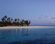Обои Tropic Tree Hotel Maldives 220x176