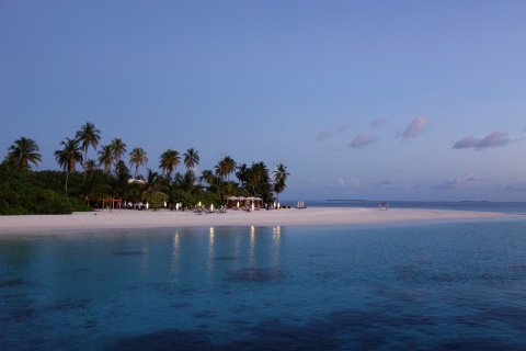 Fondo de pantalla Tropic Tree Hotel Maldives 480x320