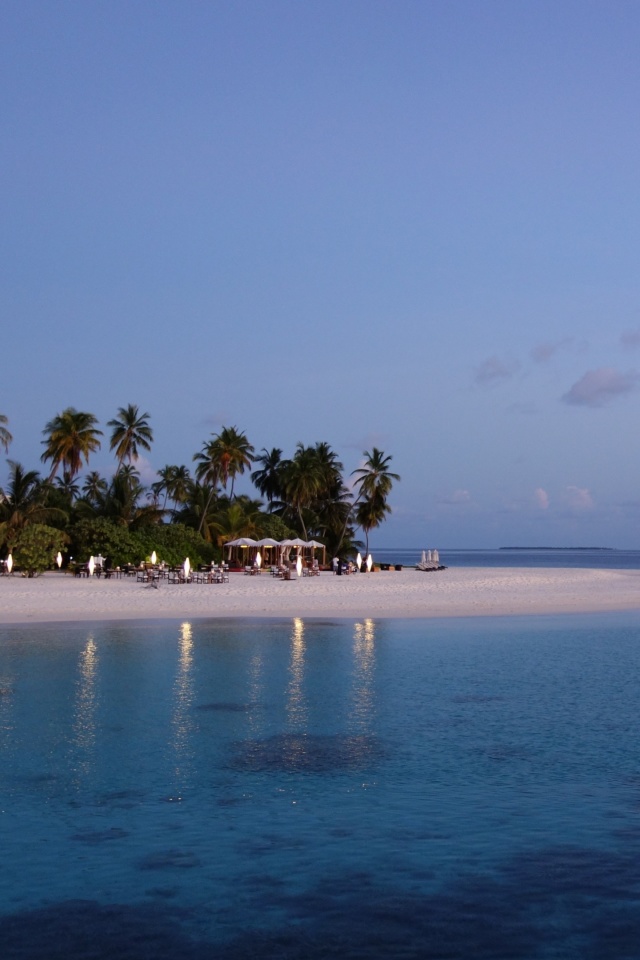 Обои Tropic Tree Hotel Maldives 640x960