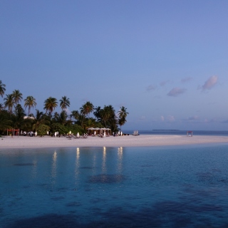 Kostenloses Tropic Tree Hotel Maldives Wallpaper für iPad mini 2