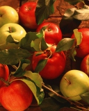 Screenshot №1 pro téma Red Apples & Green Apples 128x160
